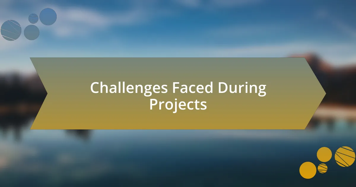 Challenges Faced During Projects