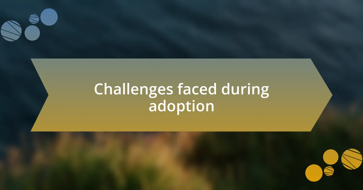 Challenges faced during adoption