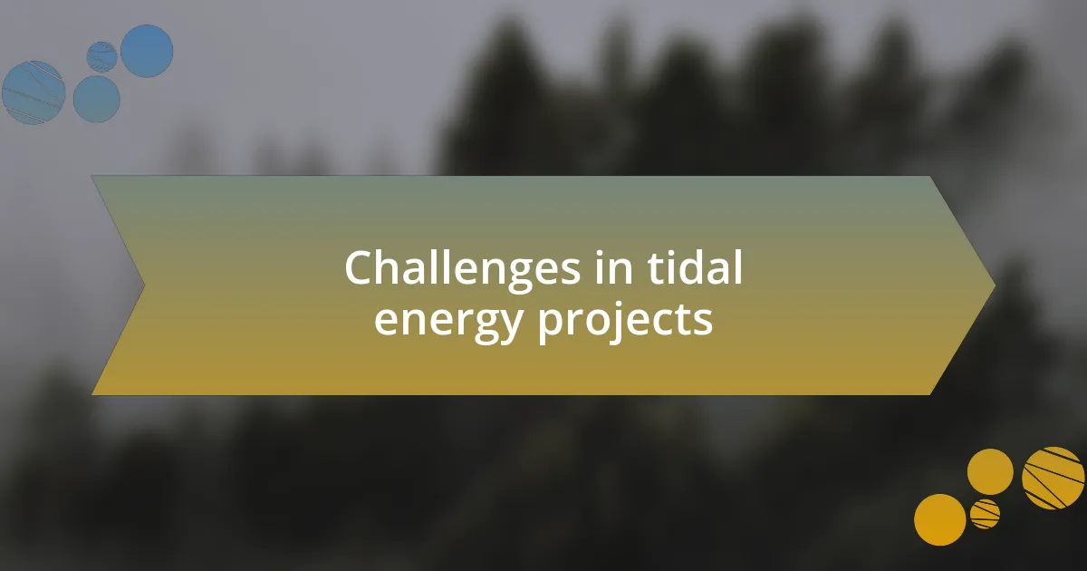 Challenges in tidal energy projects