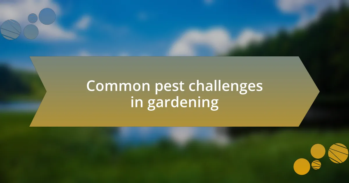 Common pest challenges in gardening