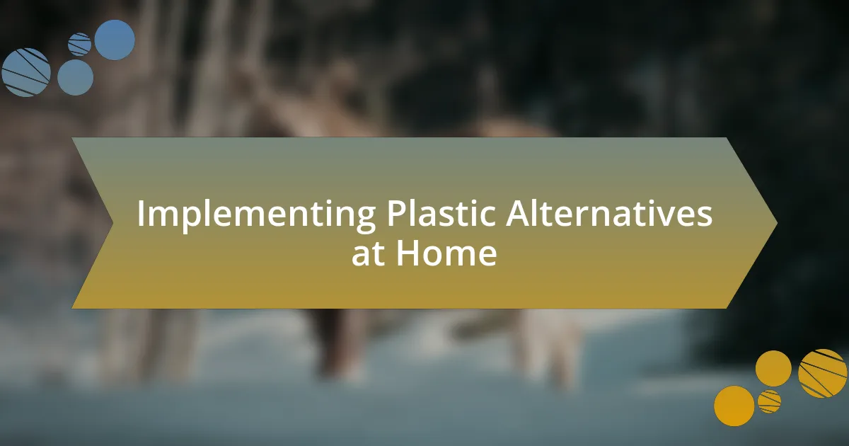 Implementing Plastic Alternatives at Home