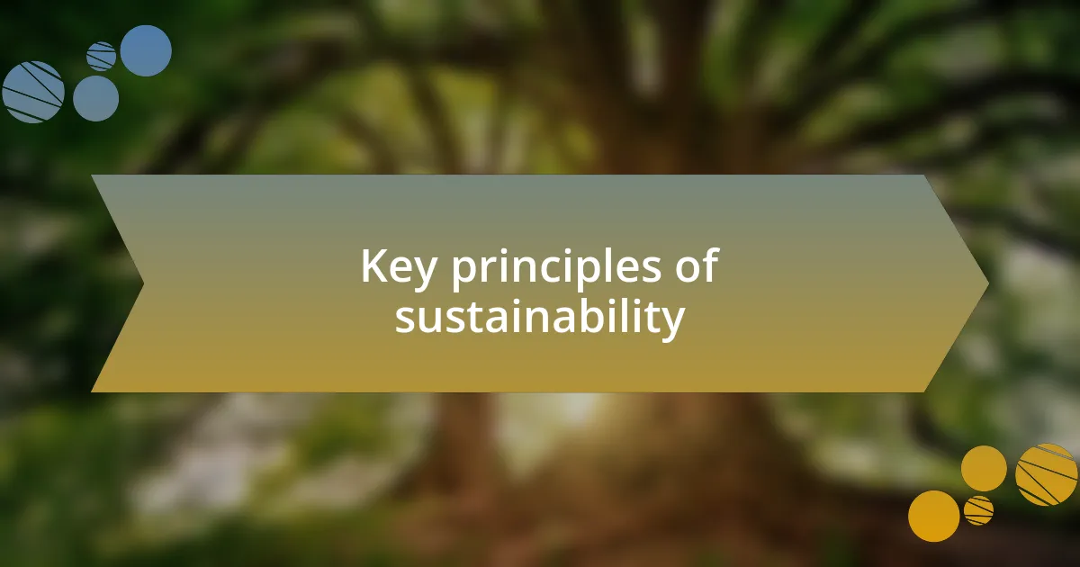 Key principles of sustainability