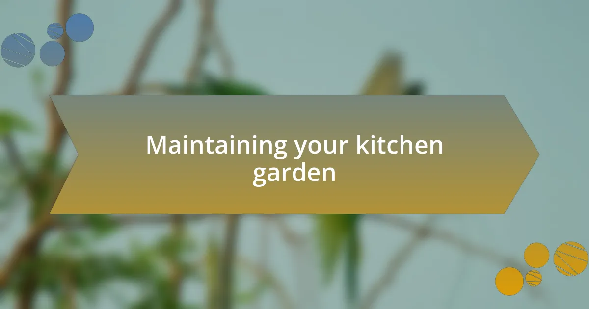 Maintaining your kitchen garden