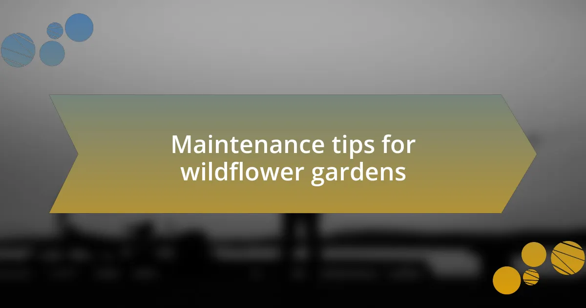 Maintenance tips for wildflower gardens