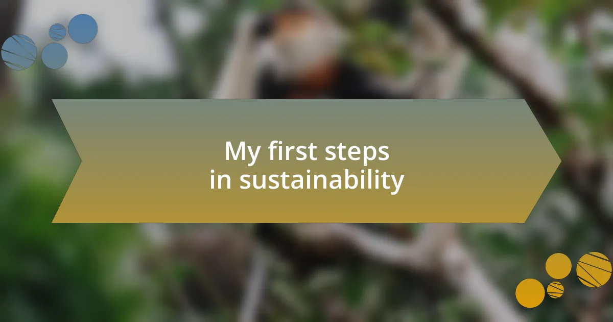 My first steps in sustainability