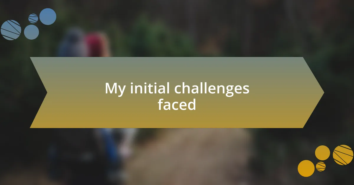 My initial challenges faced