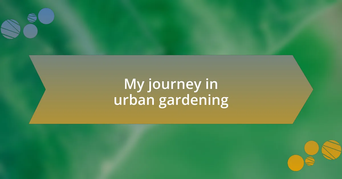 My journey in urban gardening