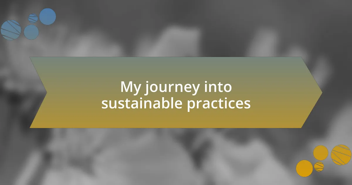 My journey into sustainable practices