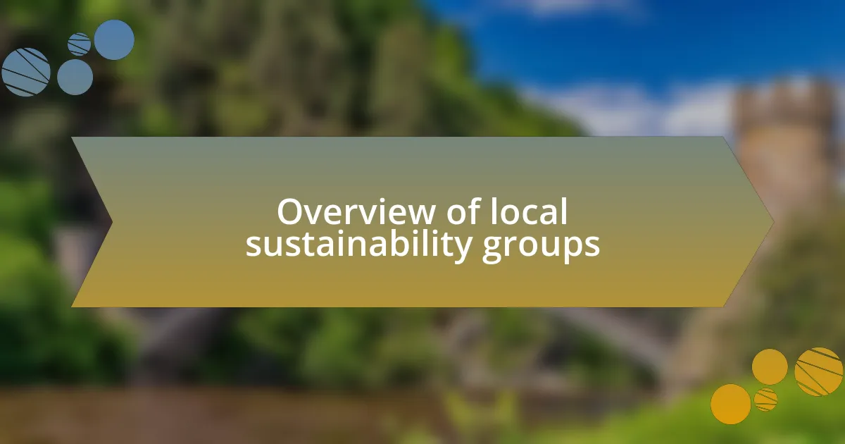 Overview of local sustainability groups