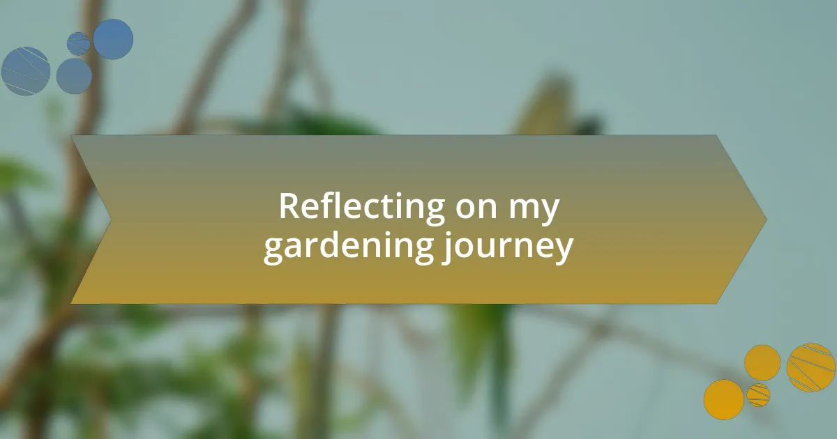 Reflecting on my gardening journey