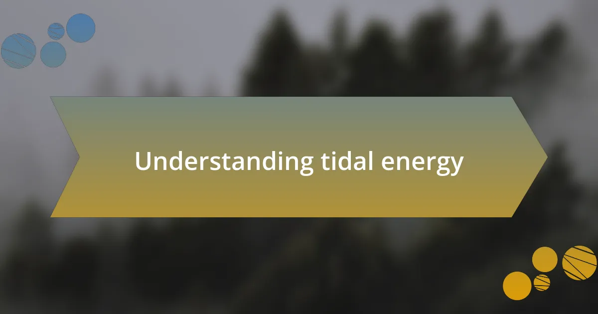 Understanding tidal energy